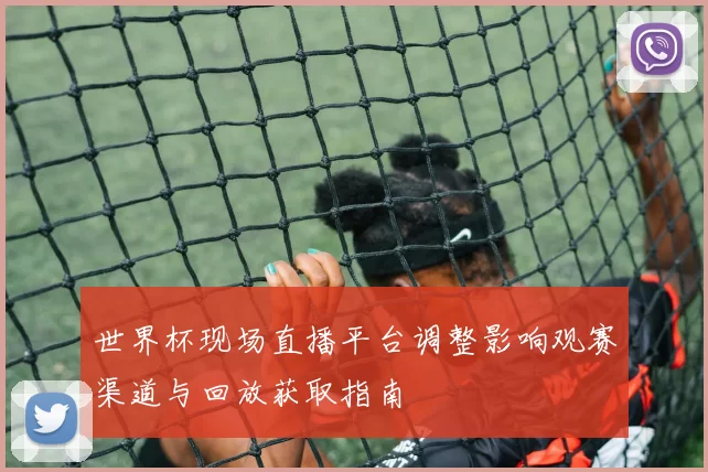 世界杯现场直播平台调整影响观赛渠道与回放获取指南