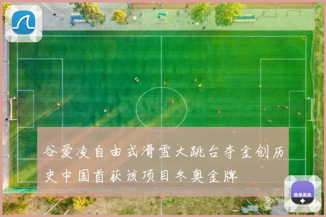 谷爱凌自由式滑雪大跳台夺金创历史中国首获该项目冬奥金牌