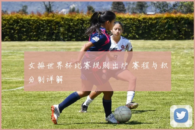 女排世界杯比赛规则出炉 赛程与积分制详解